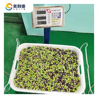 2 段階分離抽出 EVOO-500 500KG/H オリーブ油抽出機