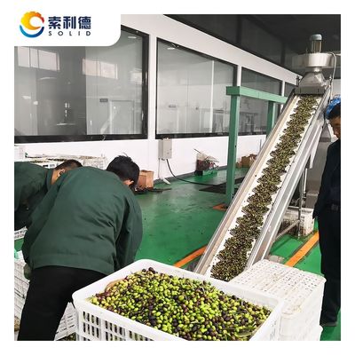 長期使用寿命保証 EVOO-1500 1500KG/H エクストラヴァージン オリーブオイル生産ライン