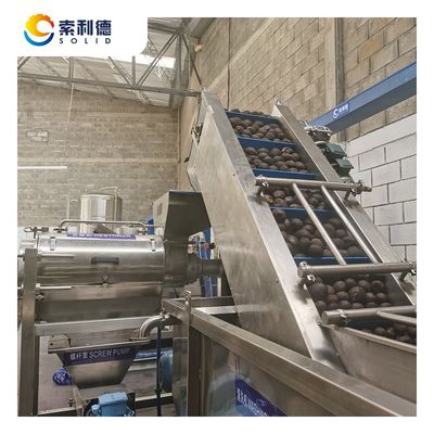 500KG/H 冷圧アボカドオイル抽出ライン