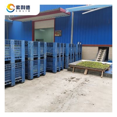 5T/h 容量 オリーブ油を抽出する自動機 3相デカンター遠心分離機