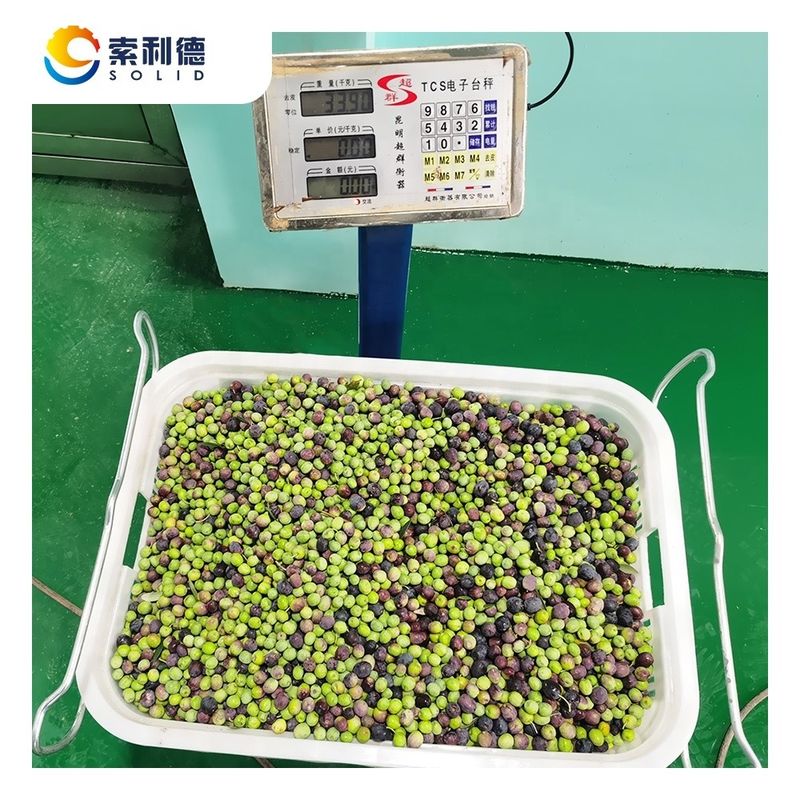 高油率13.5% EVOO-500 オリーブオイル抽出機 2相分離
