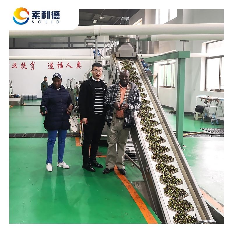 高油率 オリーブ油抽出機 遠心分離法 EVOO-3500 3-4TPH
